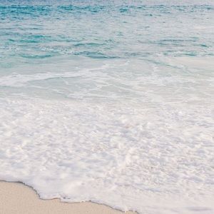 Meet your Posher, Danette